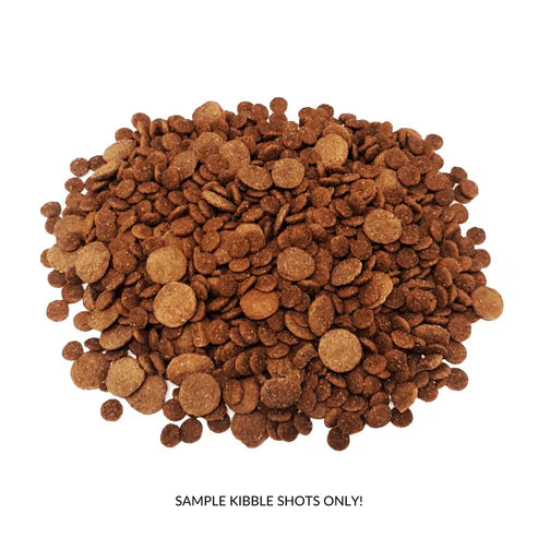 Kooky Kibble Grain-Free Adult Dry Dog Food Starter Kit (200g)