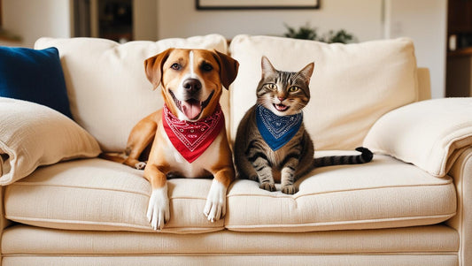Can Cats and Dogs Laugh and Smile? And Other Furry Mysteries Explained! - Kooky Kibble Singapore