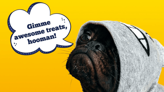 Teach Your Dog New Tricks with Awesome Pawsome All-Natural Bacon Treats! 🥓🐾 - Kooky Kibble Singapore