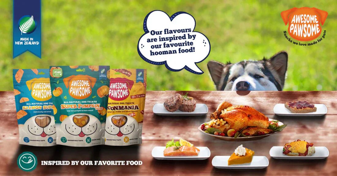 Treat Time Just Got Shiok: The Scoop on Awesome Pawsome Dog Treats in Singapore! - Kooky Kibble Singapore