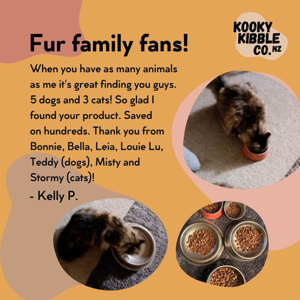 Kooky Kibble Grain-Free Cat Food for All Life Stages (9 KG)