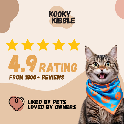Kooky Kibble Grain-Free Dry Cat Food for All Life Stages Starter Kit (200g)