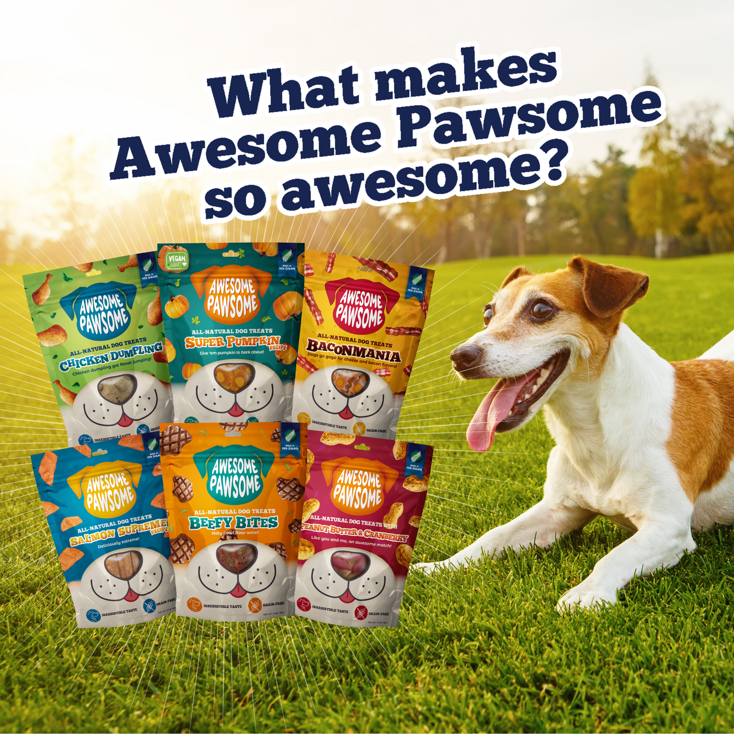 Awesome Pawsome Dog Treats