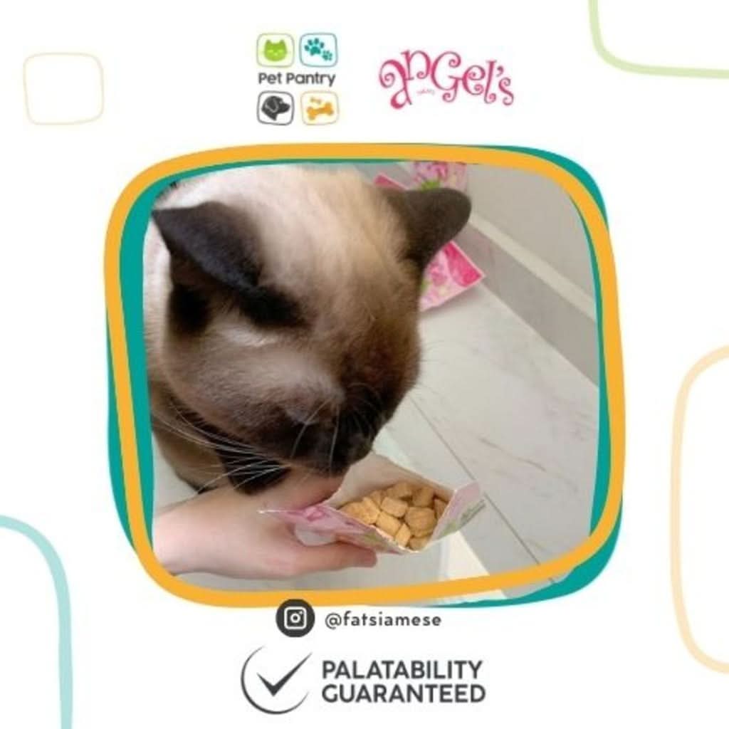 Freeze-Dried Salmon Meal Topper for Cats