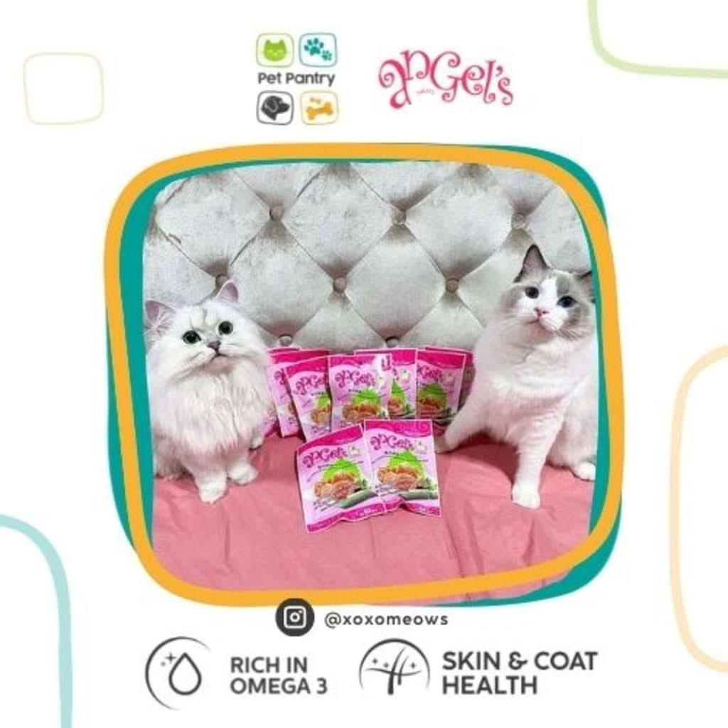 Omega-3 Cat Treat for Healthy Skin and Coat