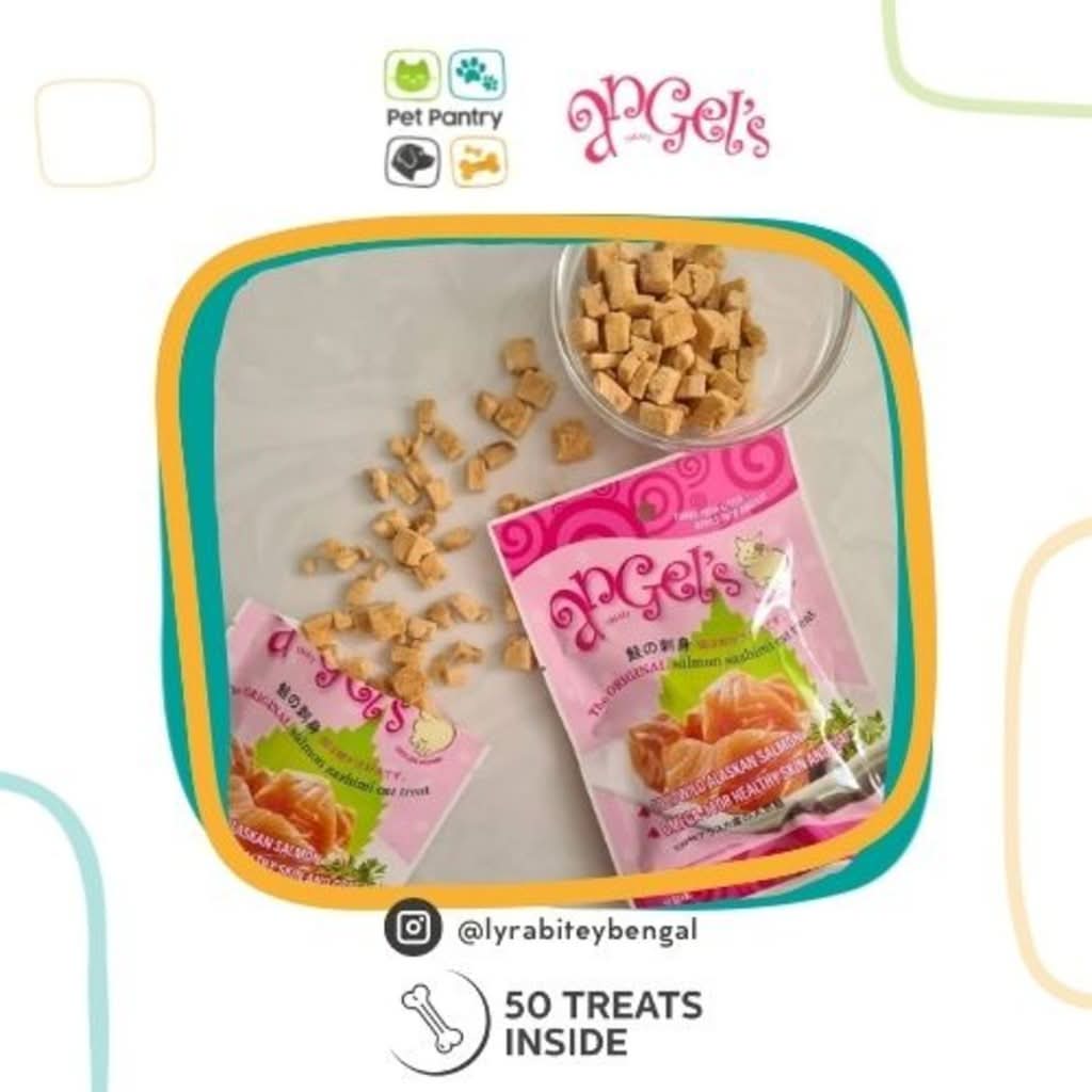 Premium Salmon Cat Treat 17g