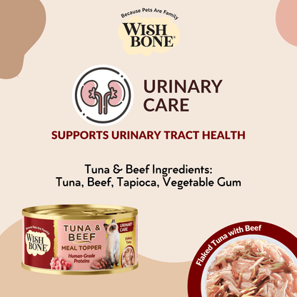 Everyday Cat Food Bundle Singapore