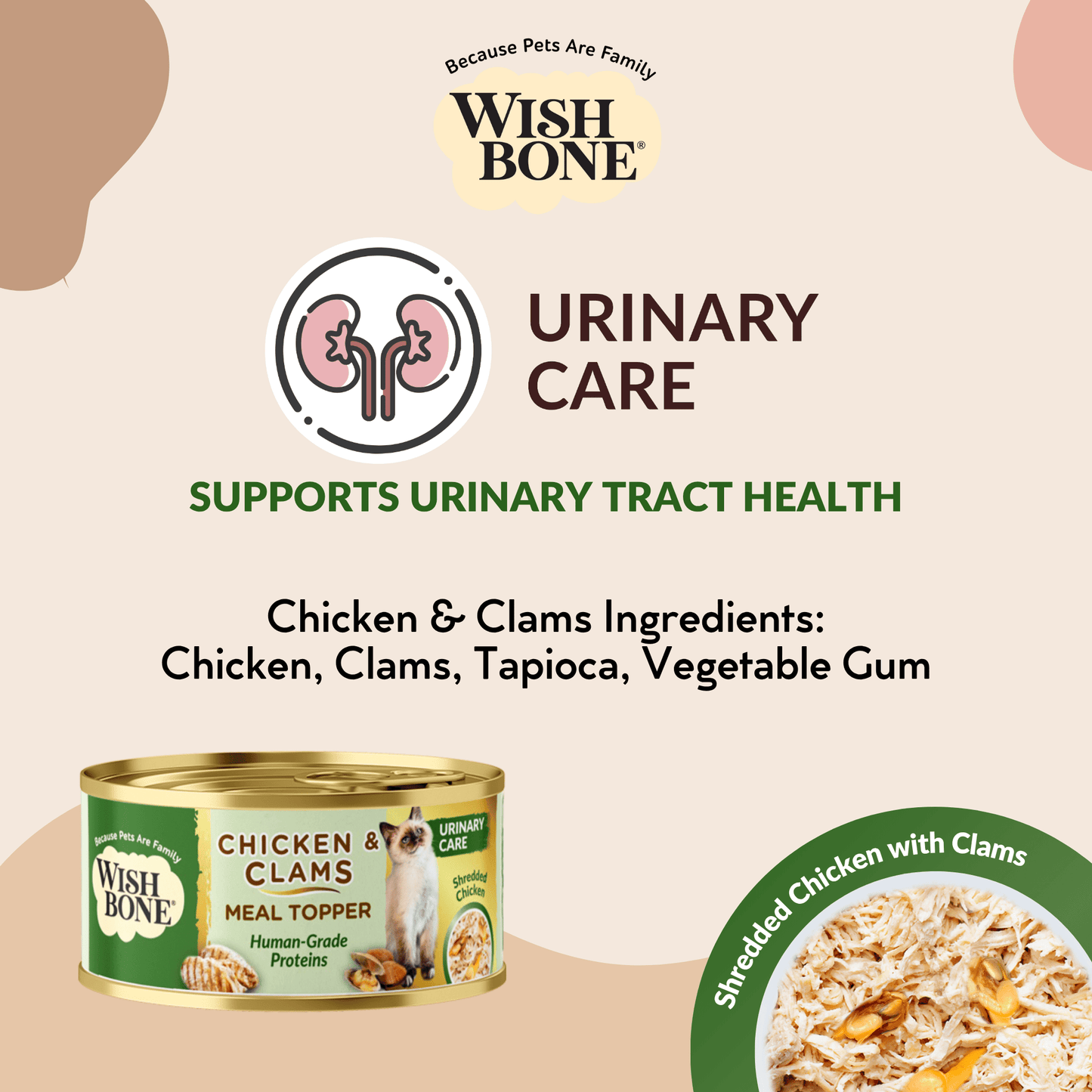 Cat Food and Wet Food Combo