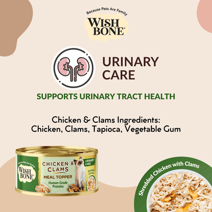 Cat Food and Wet Food Combo