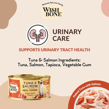 affordable cat food Singapore