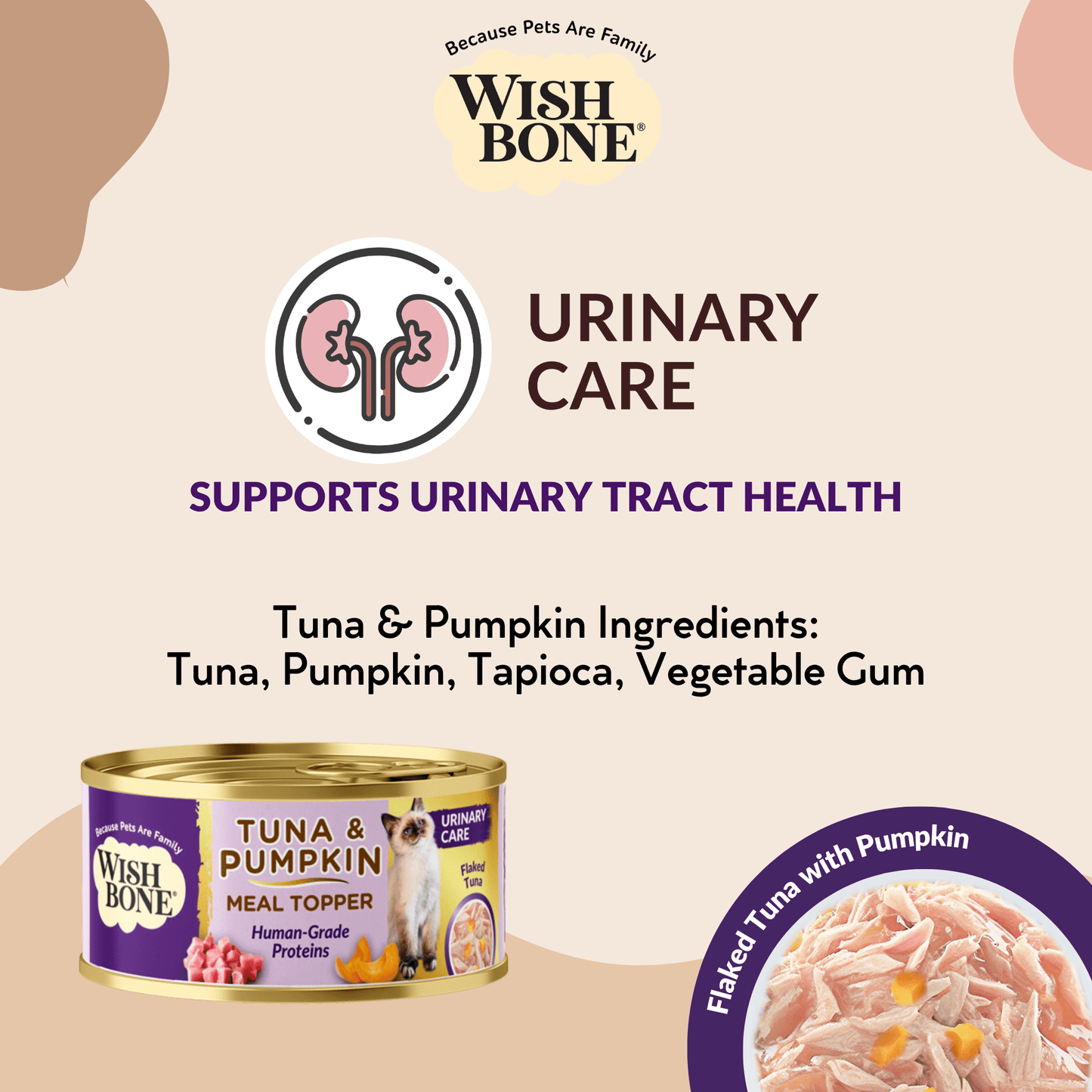 grain-free cat food Singapore