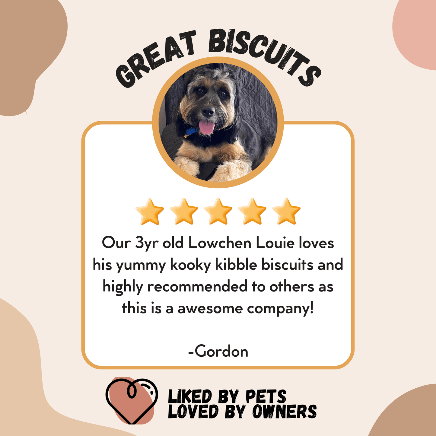 Everyday Grain-Free Dog Food
