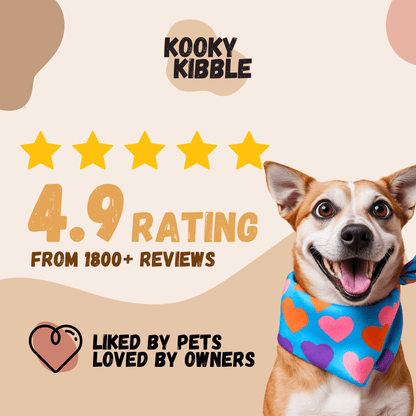 Adult Dog Food 3.3KG Singapore
