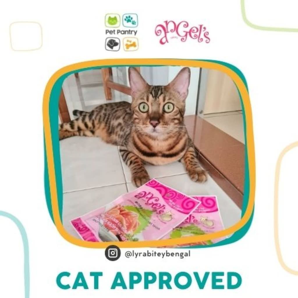  Angel Salmon Sashimi Cat Treat 17g High Protein New Zealand Cat Treat